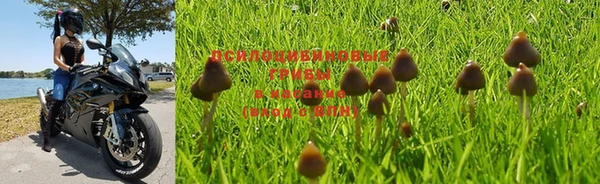 хмурый Балабаново